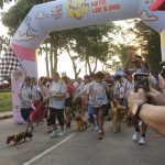 Lari Penuh Cinta di Semarang: Kesuksesan FUN RUN WITH CAT & DOG VOL 2 di AWANNCOSTA