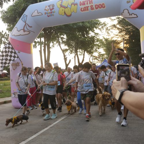 Lari Penuh Cinta di Semarang: Kesuksesan FUN RUN WITH CAT & DOG VOL 2 di AWANNCOSTA
